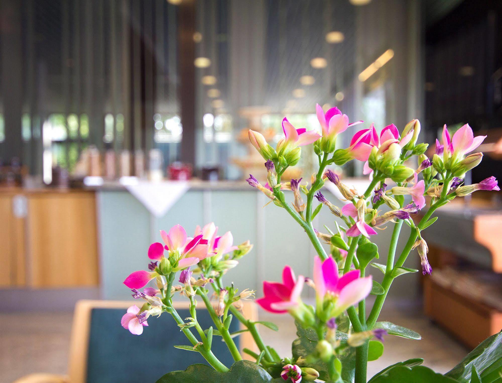 Seligweiler Hotel & Restaurant Ельхінген Екстер'єр фото